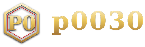 p0030 logo